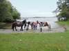 Фермерские дома Ross House Equestrian Holidays Mountnugent-6